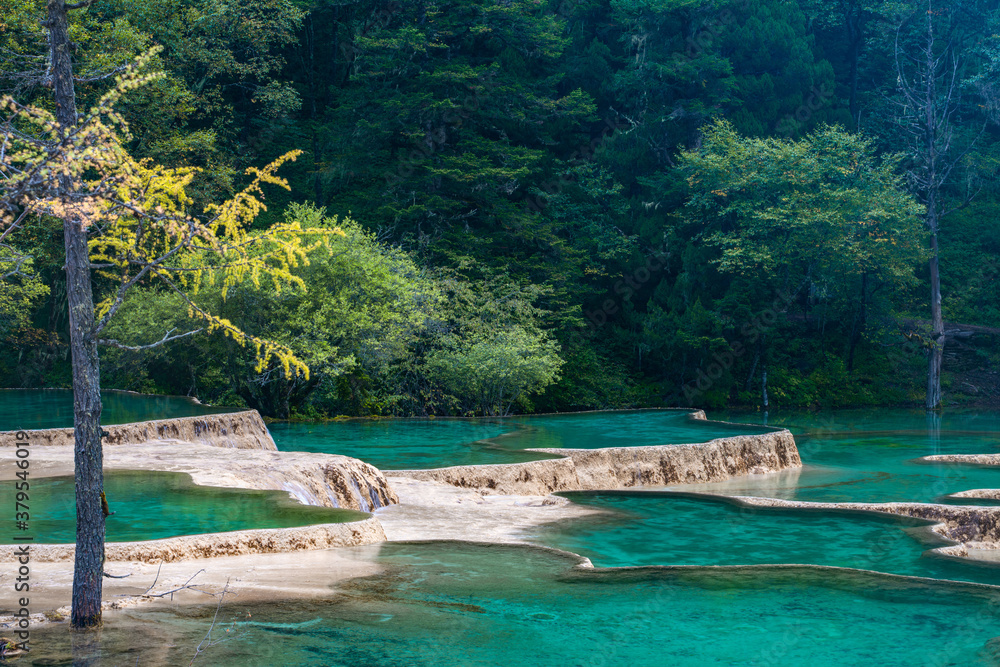 The turquoise color hot spring pools in Huanglong Valley, Sichuan, China, on summer time.