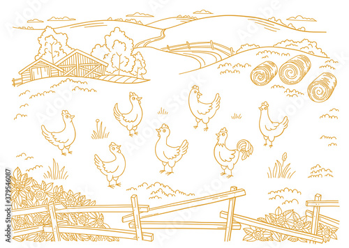 Poultry farm. Chicken factory. Free grazing. Barnyard. Village rural countryside landscape. Rustic fence. Hand drawn sketch. Contour vector line.