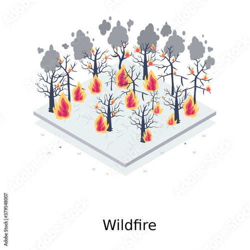 
Wildfire vector style in modern editable style 
