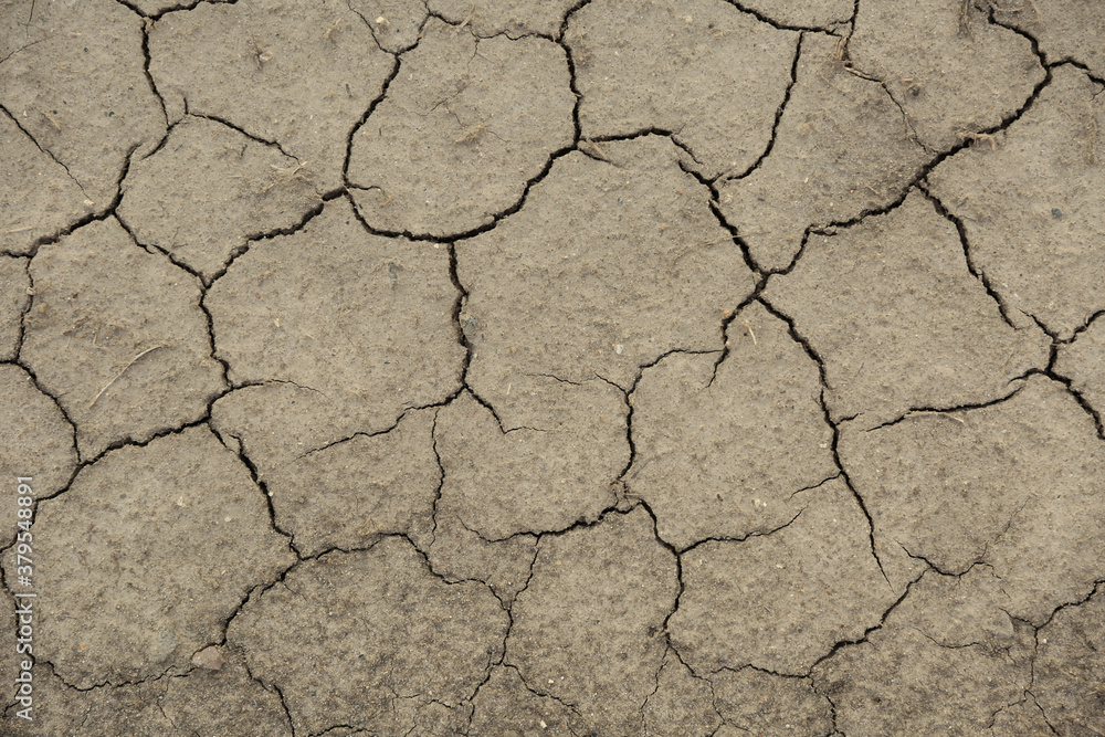 Fototapeta premium background of cracked dry ground