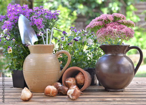 gardening tools in a water jug placed with others on a table with flowers and bulbs in a garden