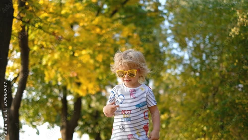 The kid is having fun in the park in autumn. The joy of a warm autumn day. A fun walk in the park with your baby in a warm autumn. Cute blond boy throws yellow maple leaves up in the park. The kid is having fun in the park in autumn. The joy of a warm autumn day. A fun walk in the park with your baby in a warm autumn. Cute blond boy throws yellow maple leaves up in the park.
