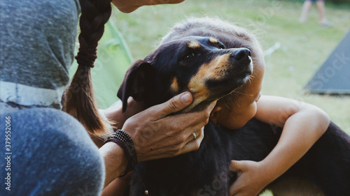Photography Mother and daughter is gently stroking mongrel dog at camping, close-up