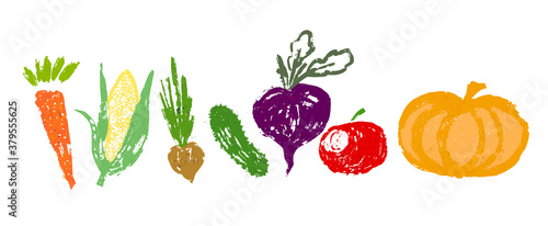 Fototapeta Naklejka Na Ścianę i Meble -  Set of vegetables. Vector illustration