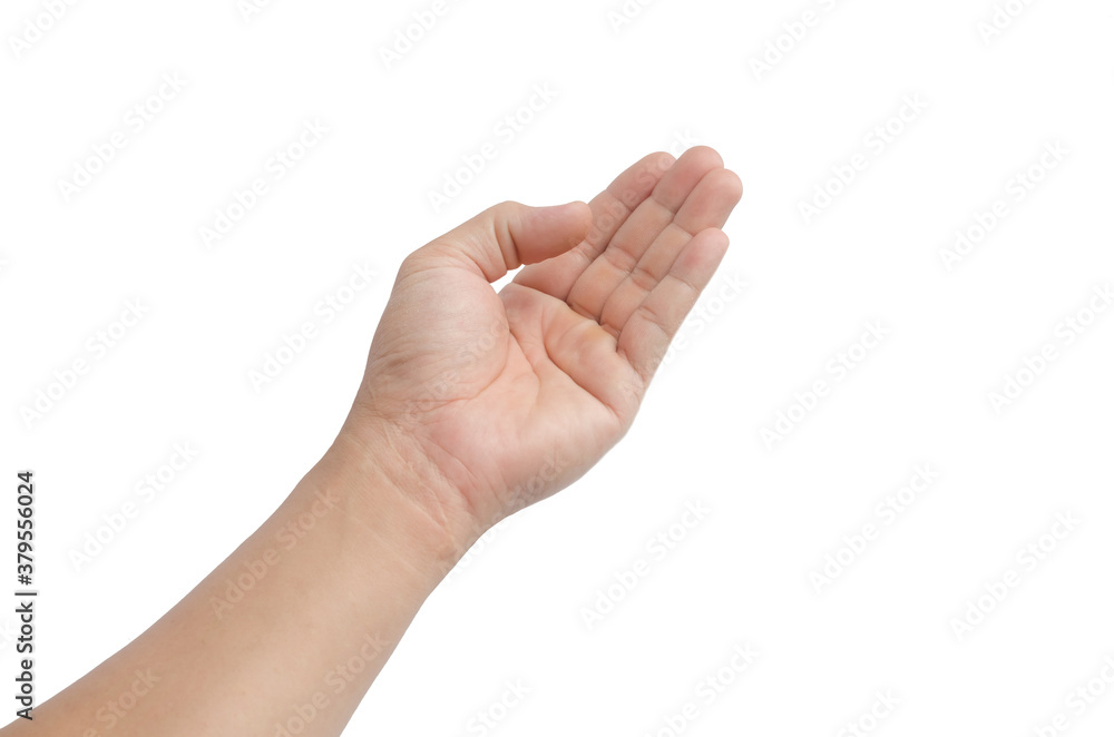 a hand holding something like a bottle or smartphone on white backgrounds, isolated a hand holding something like a bottle or smartphone on white backgrounds, isolated