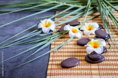 Spa background  white plumeria  bamboo branches and zen stones balance  relaxation concept.