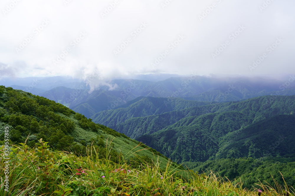 A view of the ridge overlooking south from the summit of Mt. Arashima A view of the ridge overlooking south from the summit of Mt. Arashima