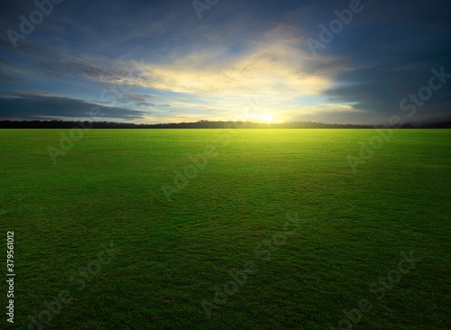 Natural green grass field in sunset