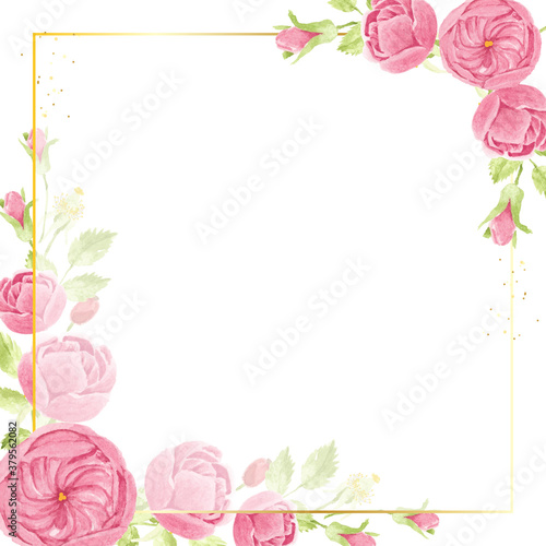 watercolor pink english rose with golden luxury square frame with copy space for text