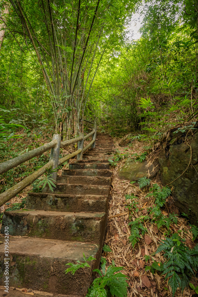 staircase on a hike in the mountains in Udonthani, Thailand. staircase on a hike in the mountains in Udonthani, Thailand.