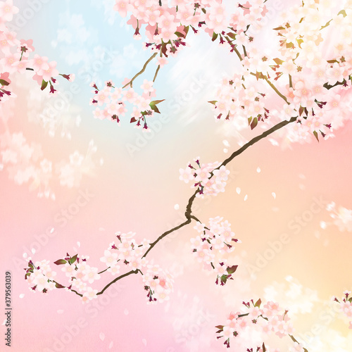 Asian-style background depicting spring cherry blossoms © Michiru.K