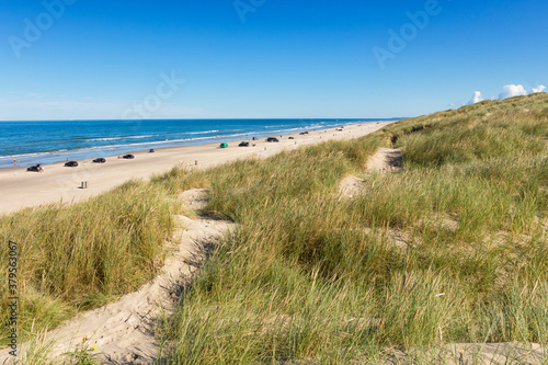 Beach and dunes of Blokhus at the Danish North Sea caost