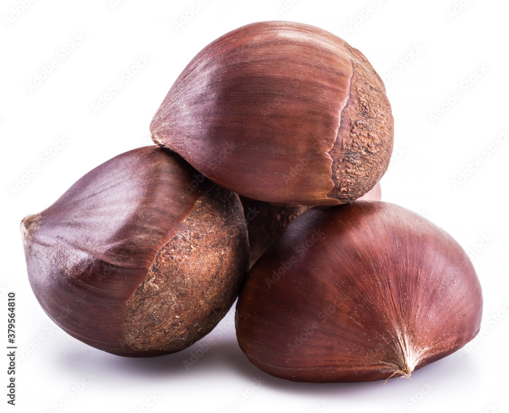 Raw peeled edible chestnut fruits isolated on white background. Raw peeled edible chestnut fruits isolated on white background.