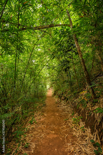 staircase on a hike in the mountains in Udonthani  Thailand.