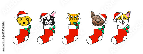Pets as a christmas present. Christmas mood
