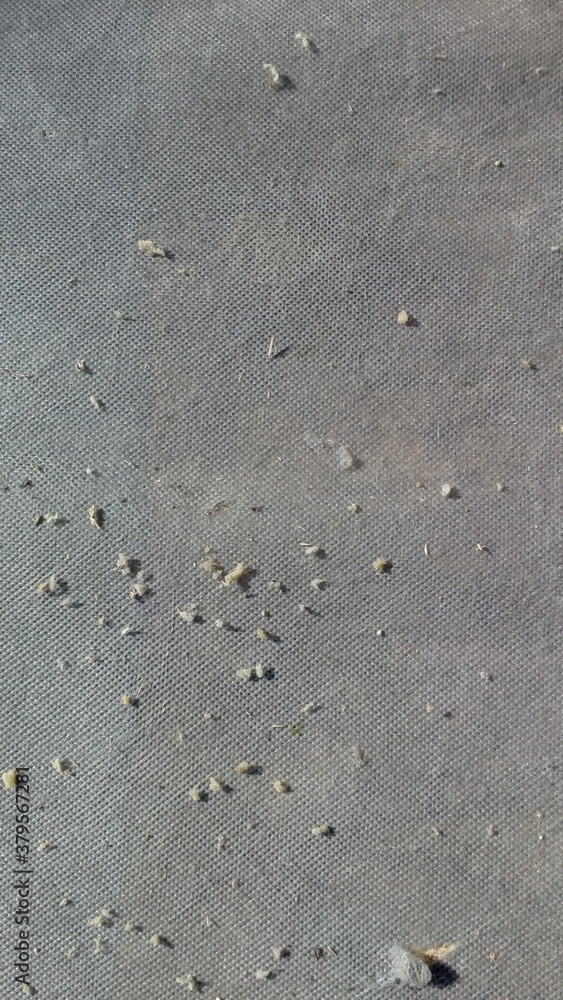 footsteps on the sand footsteps on the sand