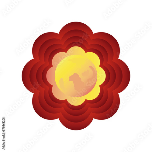 chinese decorative flower on white background