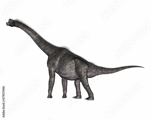 Brachiosaurus dinosaur walking isolated in white background - 3D render © Elenarts
