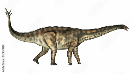 Spinophorosaurus dinosaur walking isolated in white background - 3D render