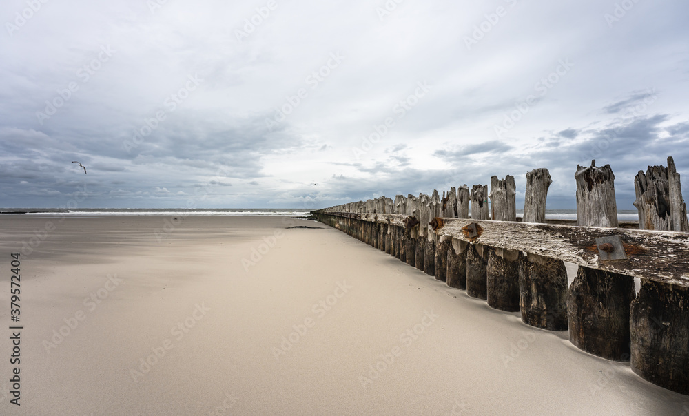 Fototapeta premium Norderney