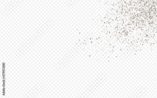 Silver Glow Bridal Transparent Background. 