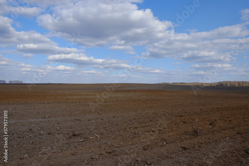 A plowed agricultural field. Blue sky over a farm field. © Oleksii