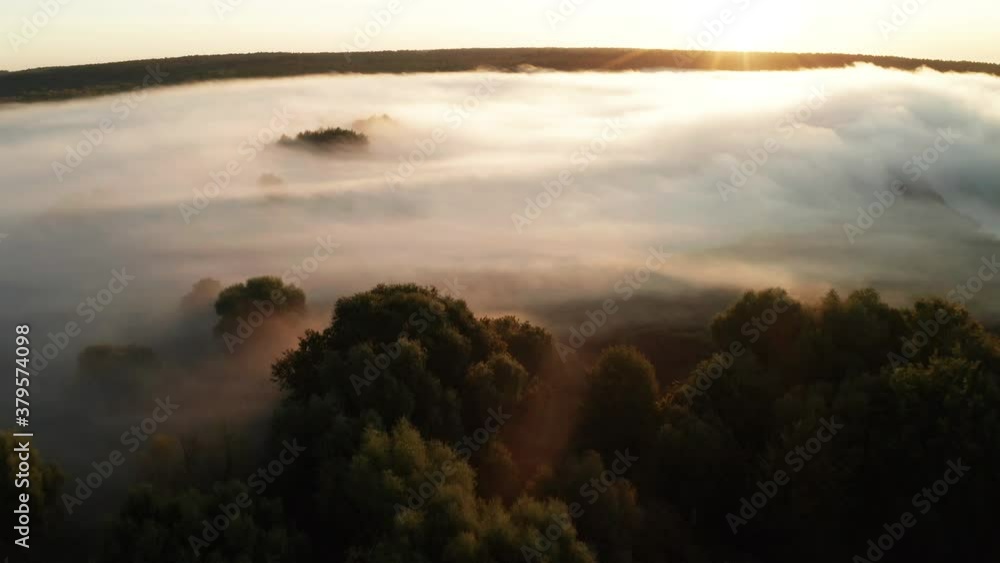 Forest lake in the morning fog, in the rays of the dawn sun. Drone footage Forest lake in the morning fog, in the rays of the dawn sun. Drone footage