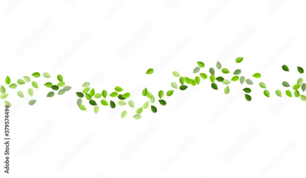 Lime Foliage Motion Vector Template. Fly Leaf Lime Foliage Motion Vector Template. Fly Leaf