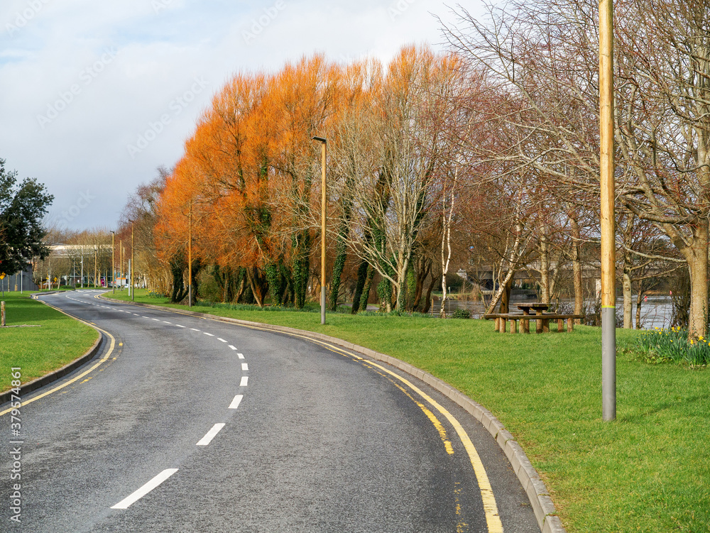 Fototapeta premium Autumn trees in a park