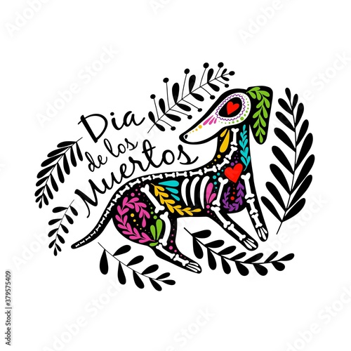 Vector colorful postcard. Dia de los Muertos, Day of the dead or Halloween concept. Dog skeleton with floral design, isolated on white background