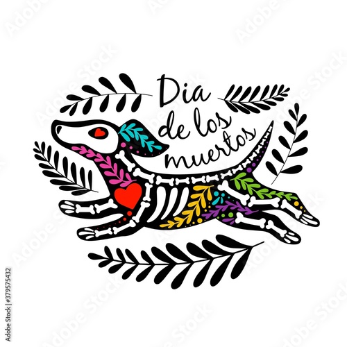 Vector colorful postcard. Dia de los Muertos, Day of the dead or Halloween concept. Flying dog skeleton, with floral design, isolated on white background
