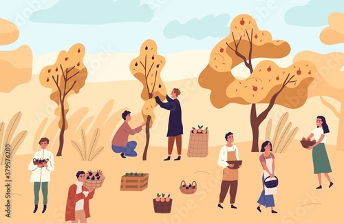 Group of farmer people picking seasonal fruits from trees at garden vector flat illustration. Man and woman at orchard with apples, oranges and plums. Agricultural workers with autumn harvest