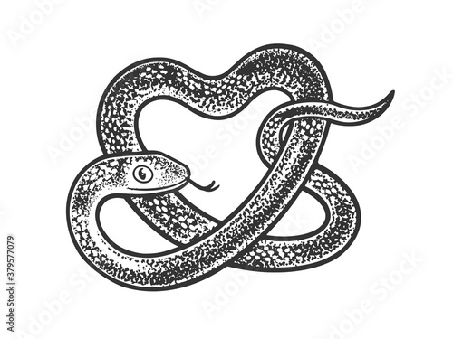 snake in form of heart symbol sketch engraving vector illustration. T-shirt apparel print design. Scratch board imitation. Black and white hand drawn image.