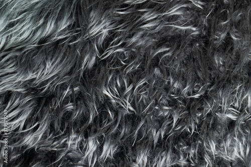 close-up of the wool texture