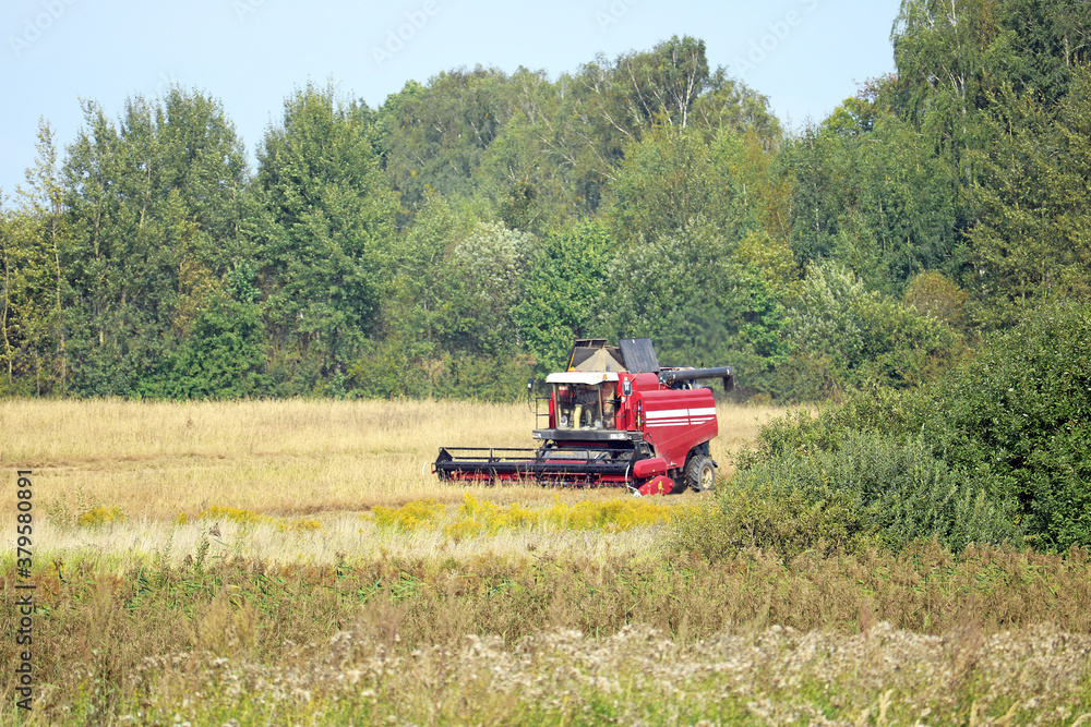 combine harvester aids in the harvesting of grain crops combine harvester aids in the harvesting of grain crops