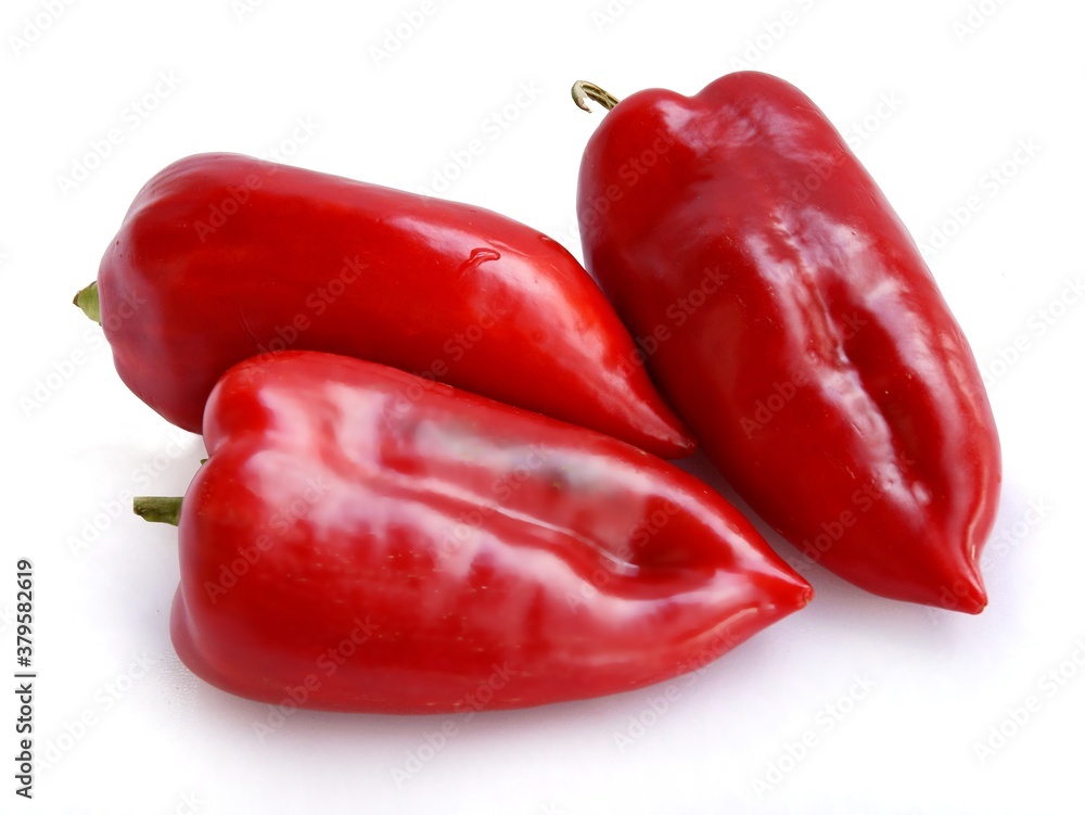 red,orange,green and yellow peppers for salad or cooking red,orange,green and yellow peppers for salad or cooking