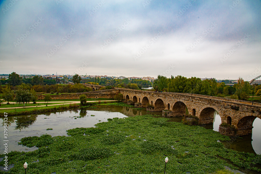 Puente romano en rio con mucha vegetación de estanque