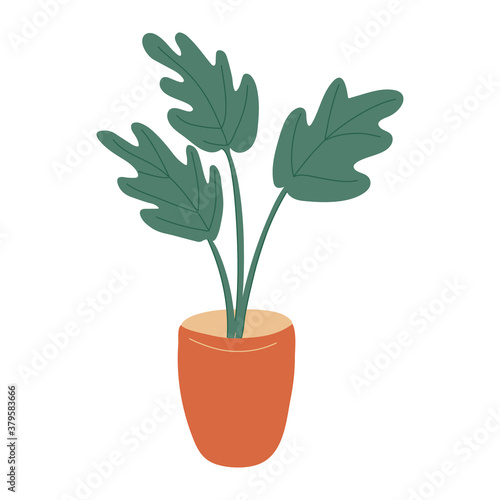 Monstera houseplant in an orange flower pot. Flat style. Vector hand drawn illustration isolated on white background.