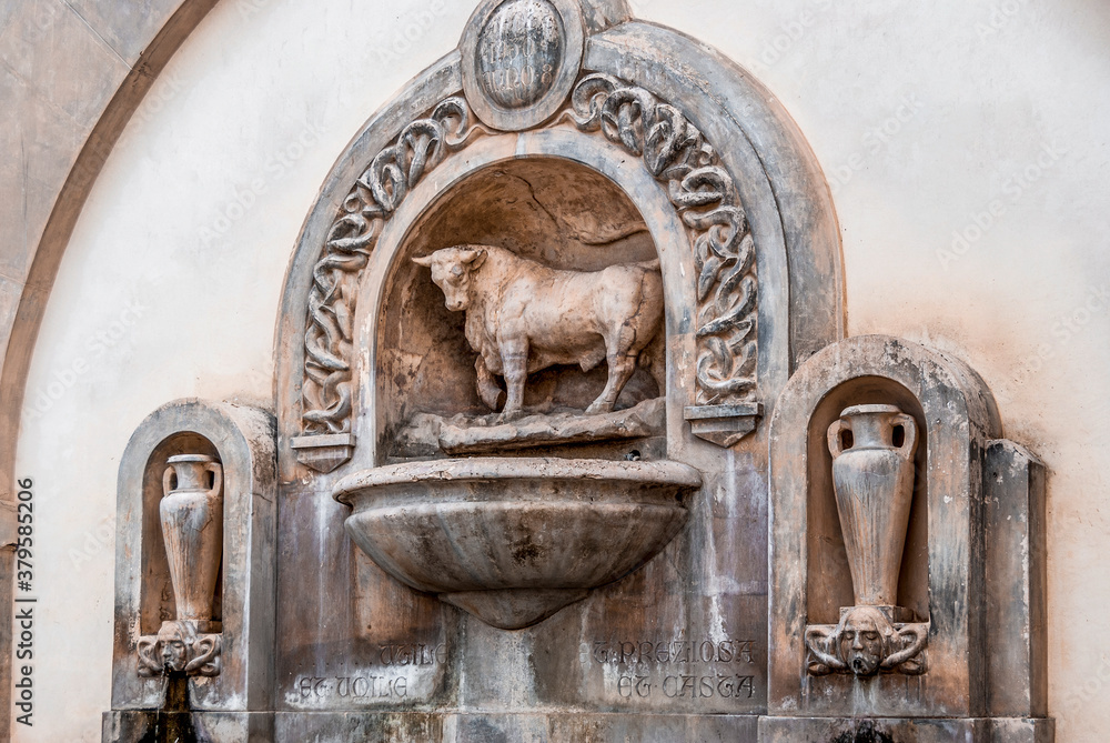 The Bull's Fountain (