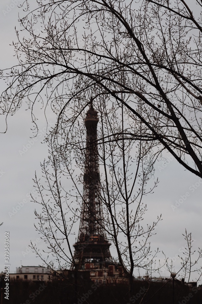 Tour Eiffel cachée par des branches d'arbres