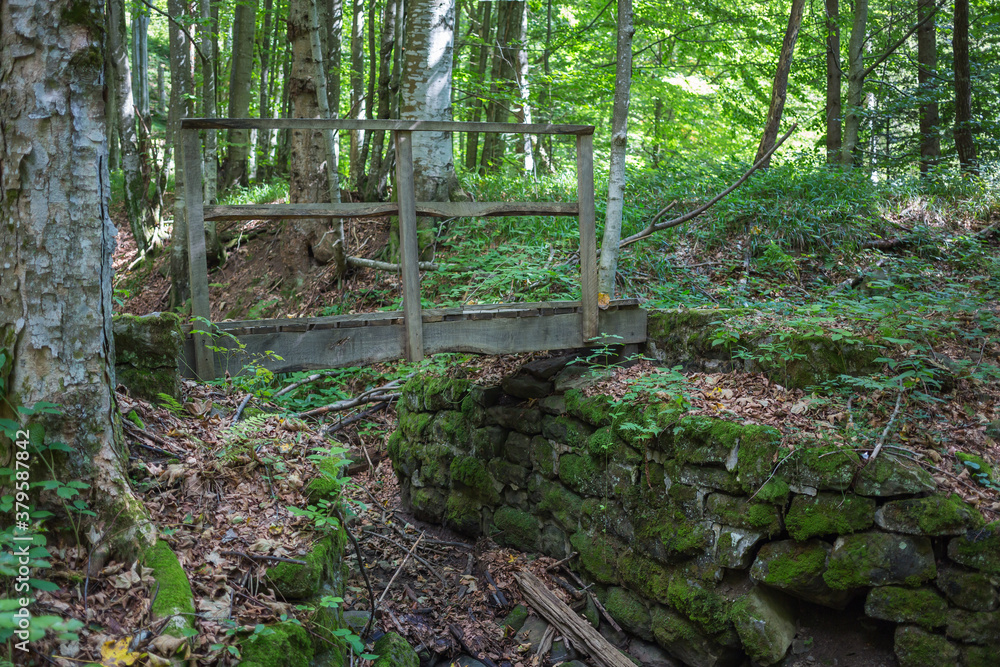 Fototapeta premium forests and wooden bridges in the Bieszczady mountains, Poloniny mountains
