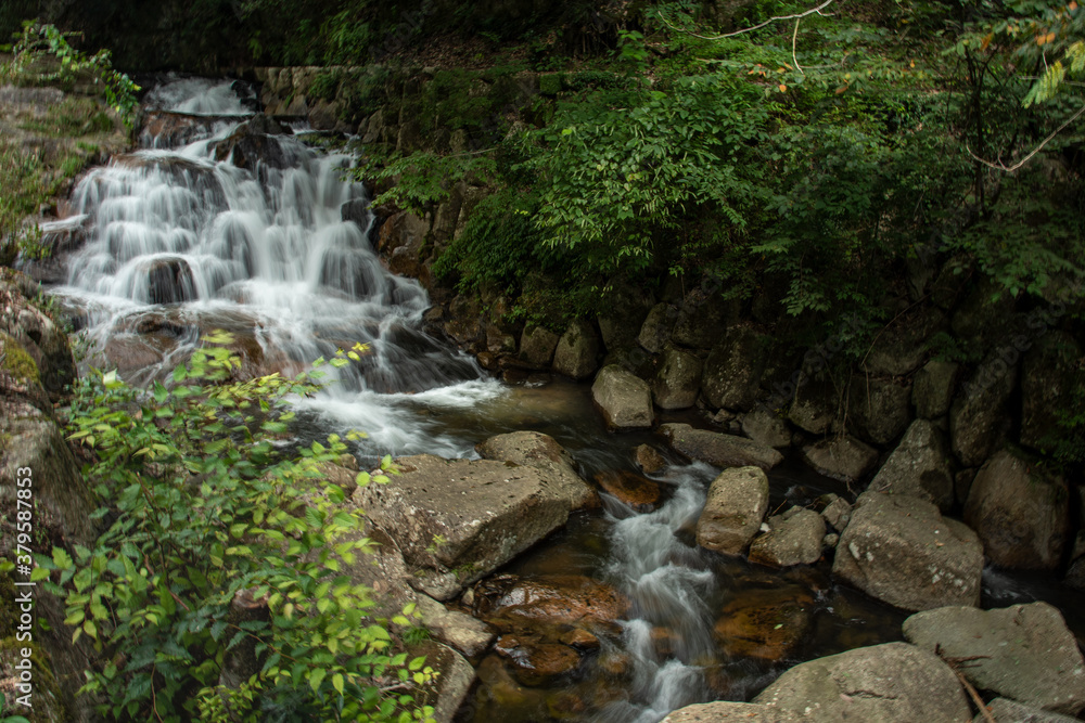 Fototapeta premium 広島県・深山峡