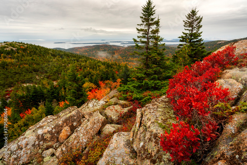 Acadia national park turns colors with the season in October and shines with a glow as the sun breaks the horizon on a cloudy early morning in Bar Harbor Maine at top of Cadillac Mountain after hiking