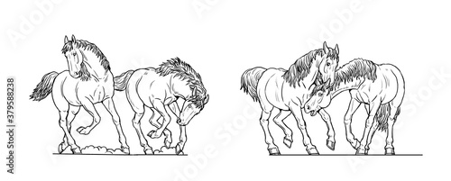 Horses drawing. Wild horses playing  running and fighting. Horse outline.