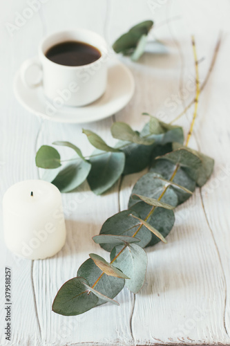Eucalyptus sprigs and a cup of coffee on a white wooden table