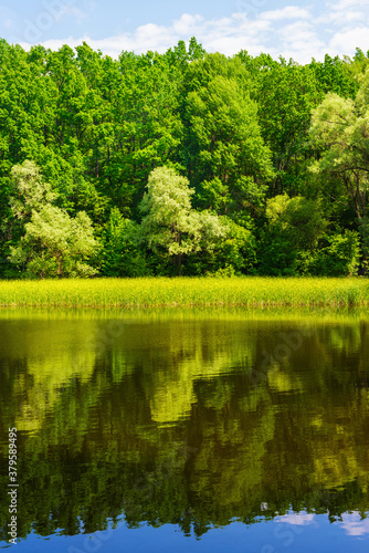 Fototapeta Naklejka Na Ścianę i Meble -  Green trees reflecting on the surface of the lake.