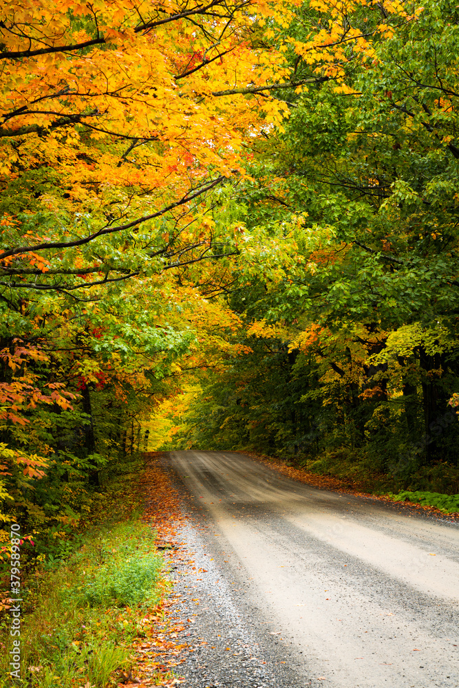 Empty country road in rural New England during Autumn with foliage changing to fall colors creating a tranquil contemplative scene