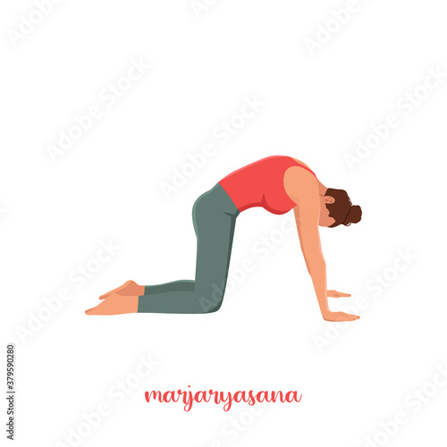 Women silhouette. Cat yoga pose. Marjaryasana. Vector illustration