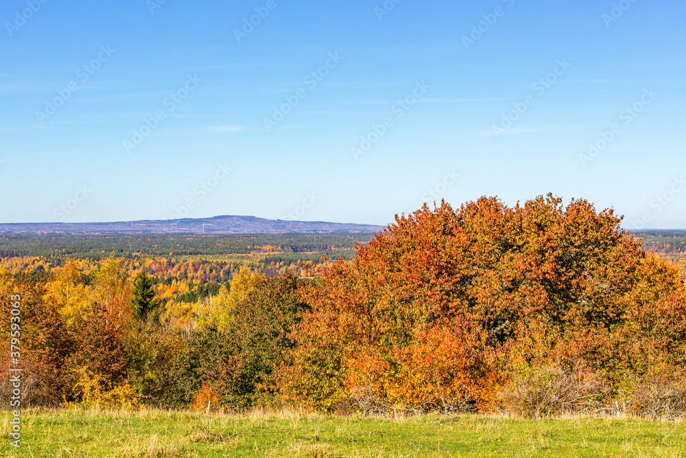 View of the landscape in the autumn with a hill in the horizon