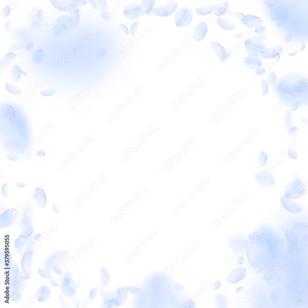Light blue flower petals falling down. Tempting ro Light blue flower petals falling down. Tempting ro